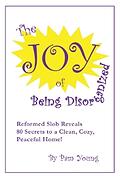 the_joy_of_being_disorganized