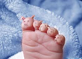 ThisLittlePiggyFoot