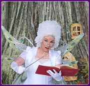 House Fairy House Fairy