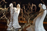 DSC_8604.jpg DSC_8604.jpg
