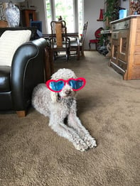 Maggie with heart glasses